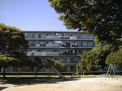 20190310173238_2.jpg